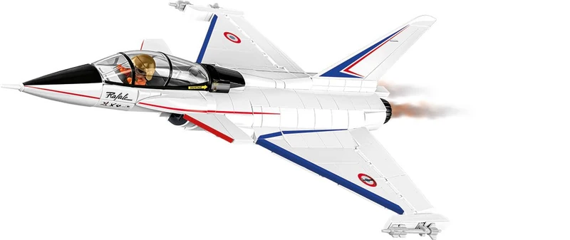 COBI RAFALE A Technology Demonstrator