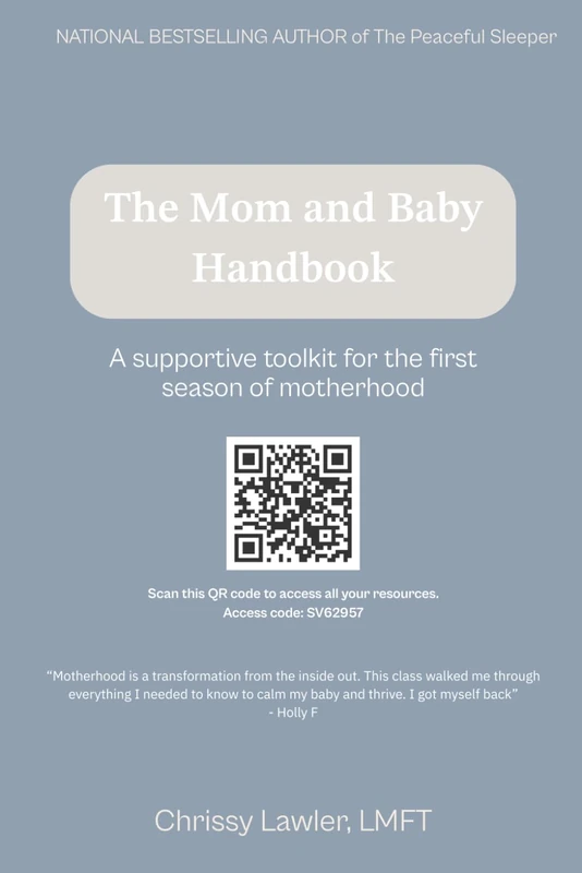 The Mom and Baby Handbook: A Supportive Toolkit for the First Season of Motherhood (Spring Valley)