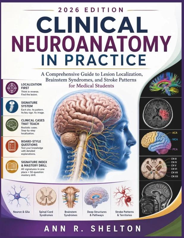Clinical Neuroanatomy in Practice - Lesion Localization Guide