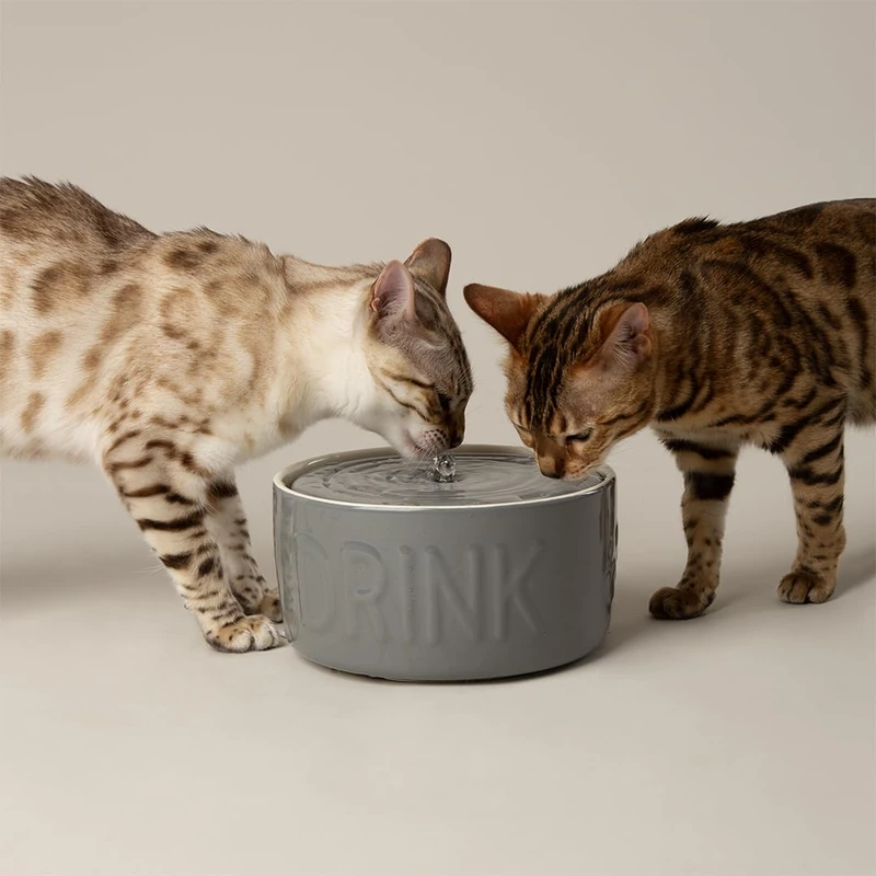 Scruffs Classic Ceramic Cat Water Fountain