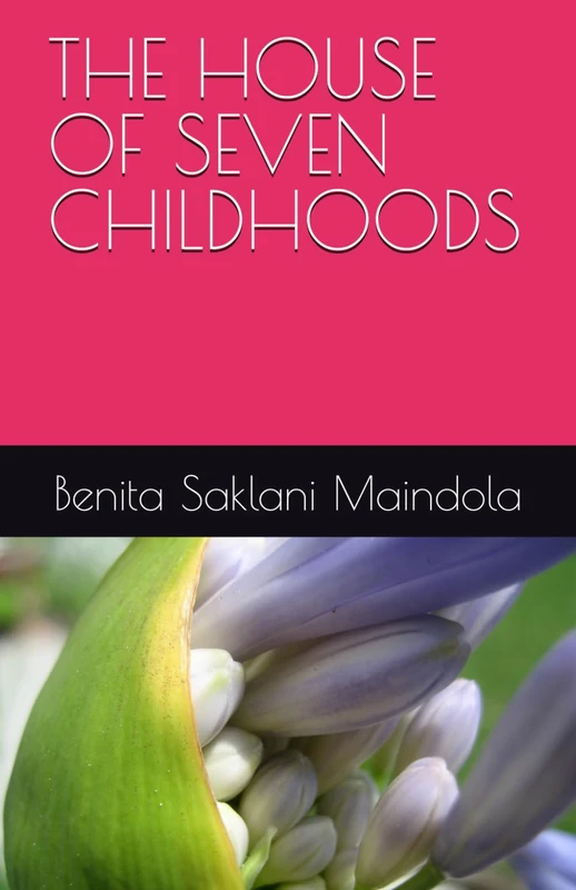 THE HOUSE OF SEVEN CHILDHOODS