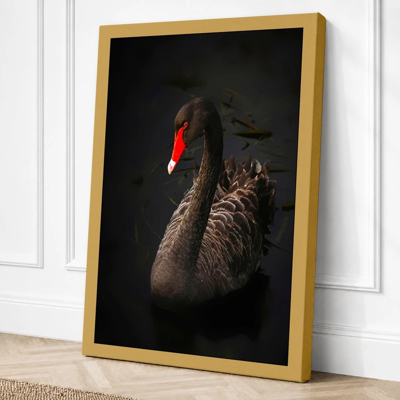 Elegant Swan Canvas Wall Art Print 36x24 Inch