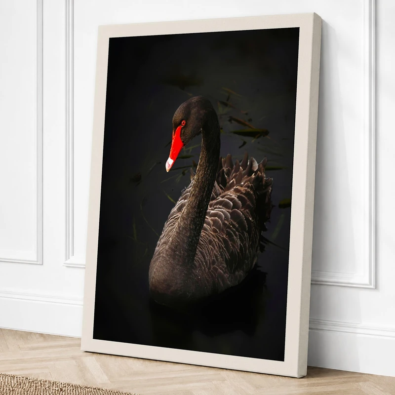Elegant Swan Canvas Wall Art Print 36x24 Inch