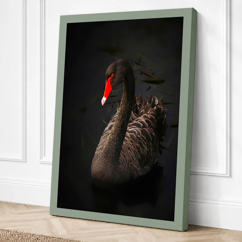 Elegant Swan Canvas Wall Art Print 36x24 Inch