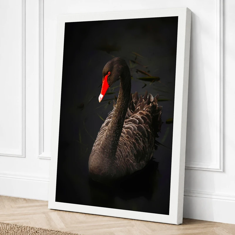 Elegant Swan Canvas Wall Art Print 36x24 Inch