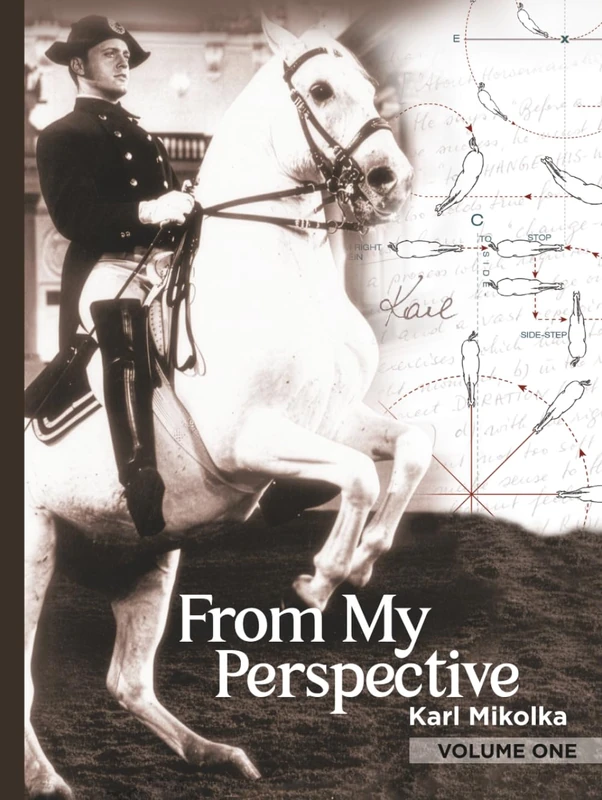 From My Perspective: Volume One