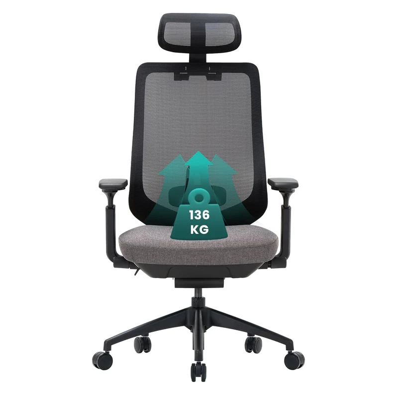 COLAMY Ergonomic Mesh Office Chair, High Back Computer Executive Desk Chair with Adjustable Headrest and 4D Arms, Slide Seat, Tilt Lock, Dark Grey