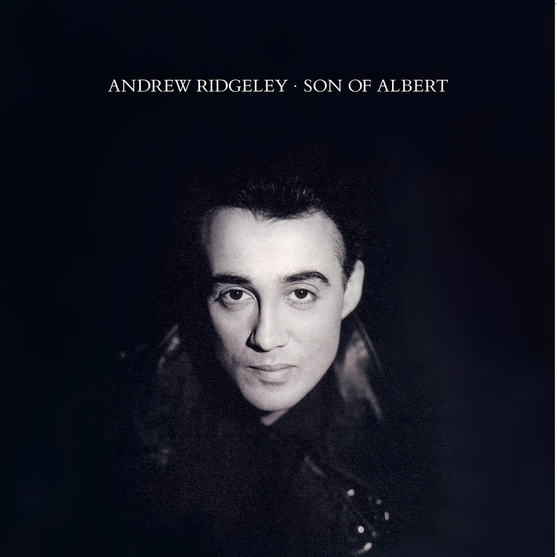 Son Of Albert (2LP Coloured Vinyl) [VINYL]