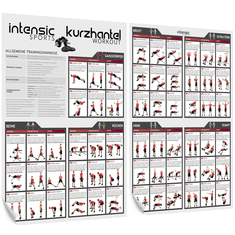 intensic SPORTS Kurzhantel Workout Poster Set | 60 Fitness-Übungen für Hantel-training Muskelaufbau Motivation Homeworkout Fitnessraum Fitness-training zuhause Trainingsplan Dumbbell Sport-poster - Image 1