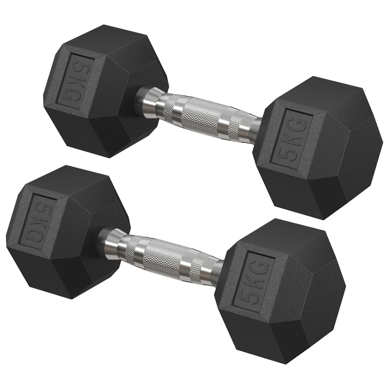 SONGMICS Hantelset, Hanteln 2er Set, Hexagon, Kurzhantel-Set, insgesamt 10 kg, für Workout, Fitnesstraining, Gewichtheben für Zuhause, Fitnessstudio, tintenschwarz SYL050B01