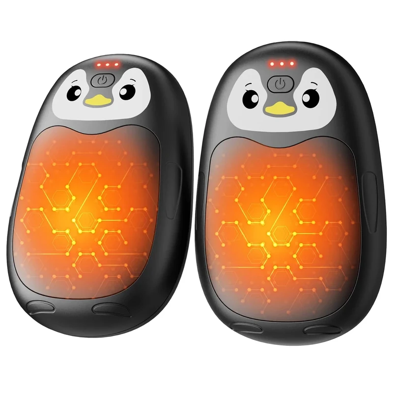 FANDLISS Handwärmer Elektrisch 2er, Taschenwärme mit 8000mAh, USB Taschenwärmer Wiederverwendbar mit 3 Wärmestufen, Winter Geschenke für Frauen Männer Outdoor Camping Sportarten(Schwarz)